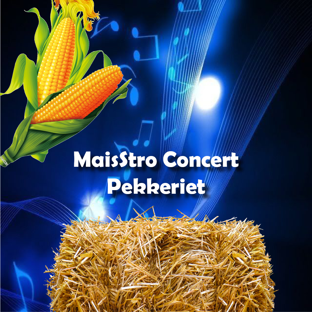MaisStro Concert